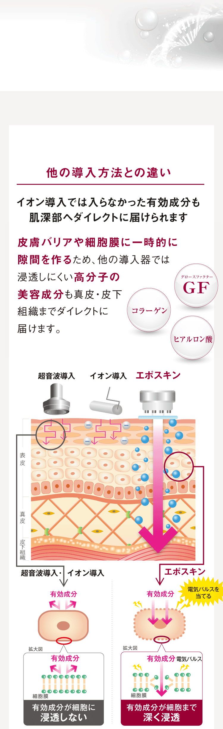 エレクトロポレーションの仕組みとは？