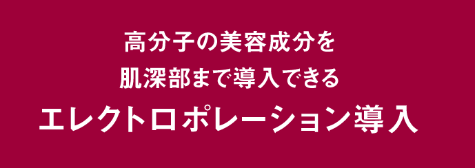 高分子の美容成分を肌深部まで導入できる、ただ１つの方法　エレクトロポレーション